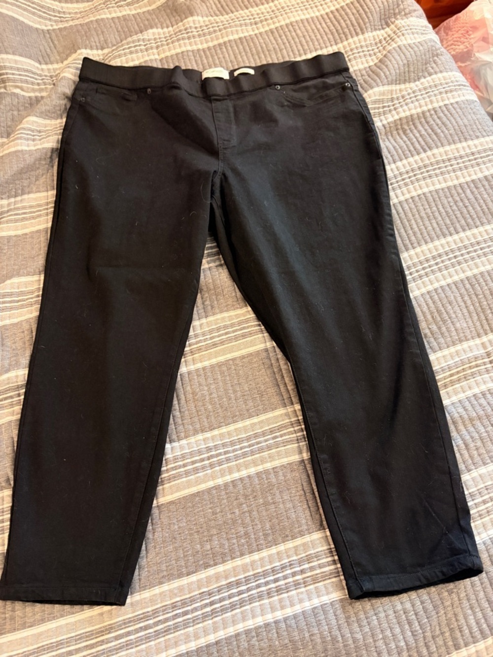 Celebrity Pink Plus Size 4x Black Ankle Pants